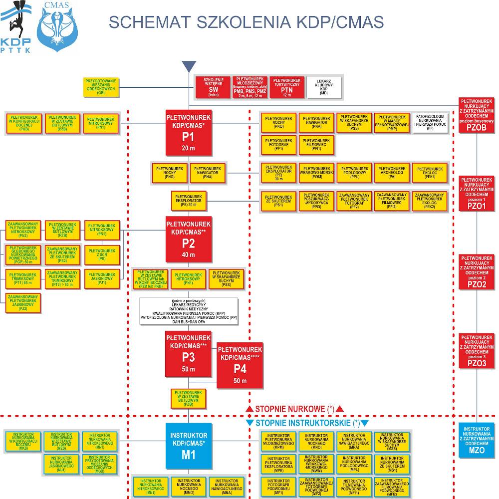 CO PO KURSIE PŁETWONURKOWANIA – P1